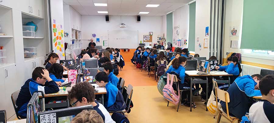 primaria